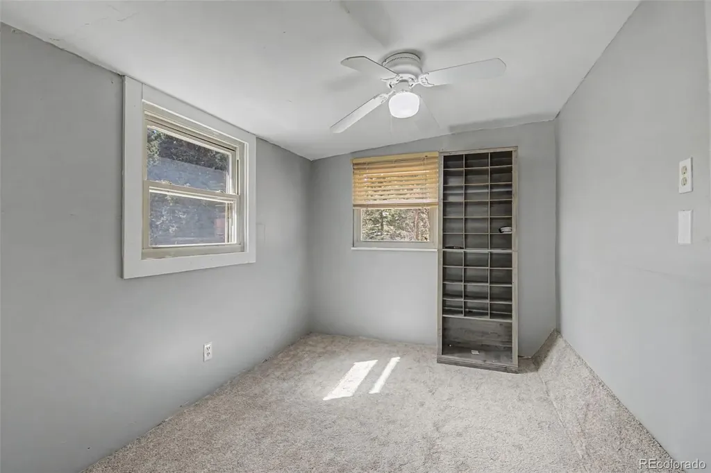 10116 Sprucedale Drive Conifer CO 80433