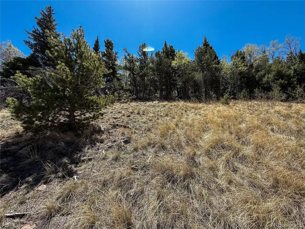 2348 Benton Place Fort Garland CO 81133