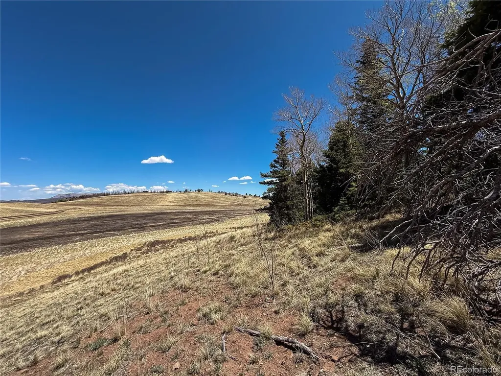2348 Benton Place Fort Garland CO 81133