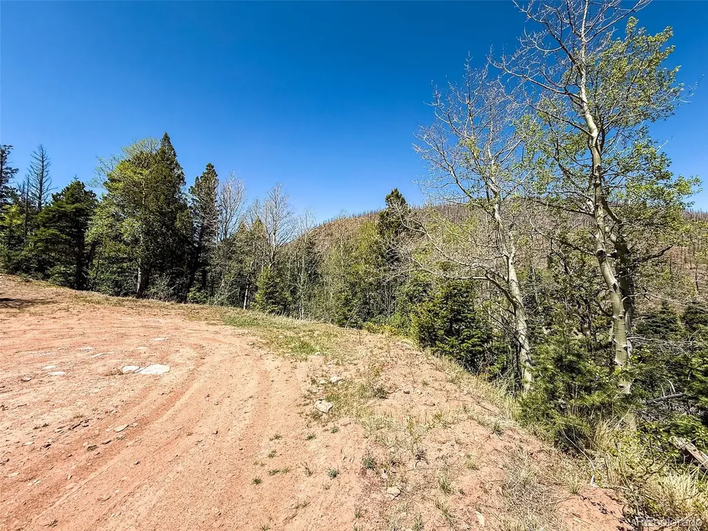 2348 Benton Place Fort Garland CO 81133