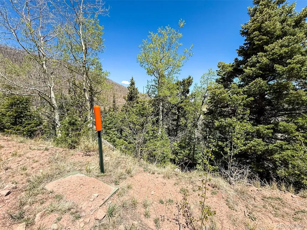 2348 Benton Place Fort Garland CO 81133