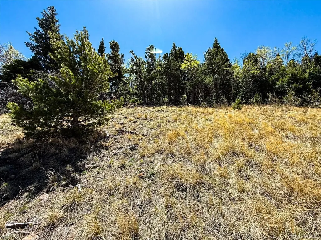 2348 Benton Place Fort Garland CO 81133