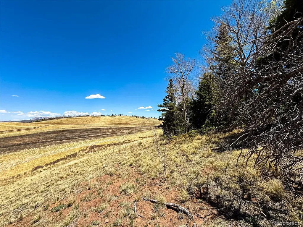 2348 Benton Place Fort Garland CO 81133