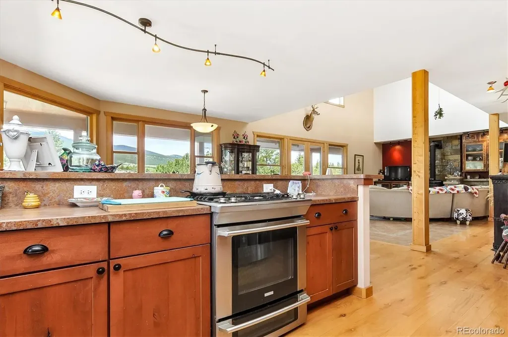 33804 Vista Verde Buena Vista CO 81211