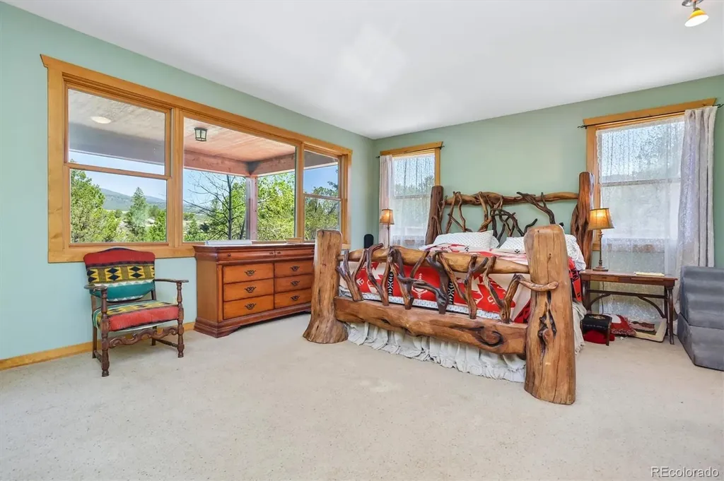 33804 Vista Verde Buena Vista CO 81211