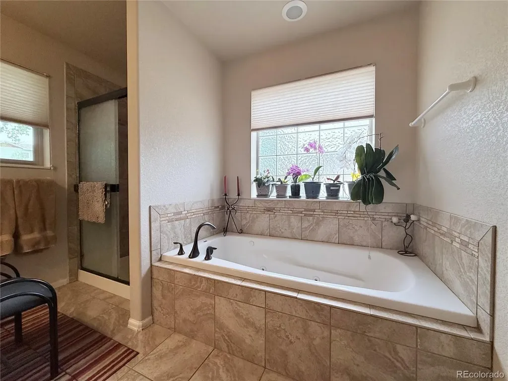 1102 E Sabeta Avenue Poncha Springs CO 81242