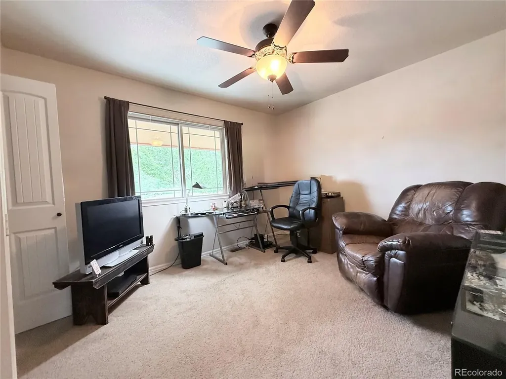 1102 E Sabeta Avenue Poncha Springs CO 81242