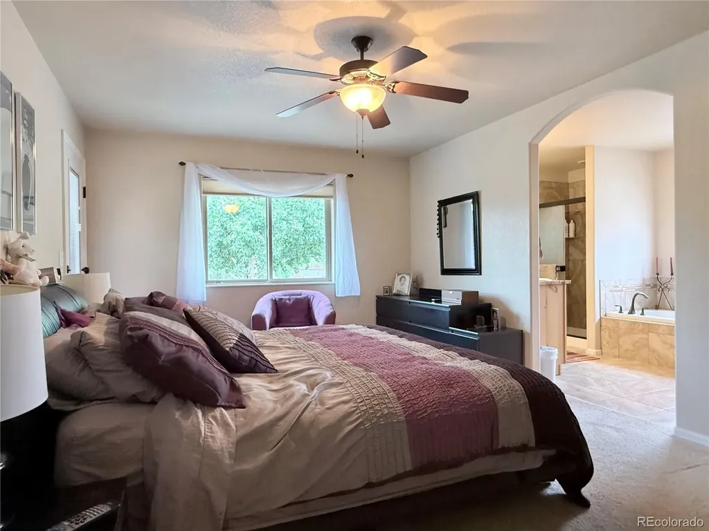 1102 E Sabeta Avenue Poncha Springs CO 81242