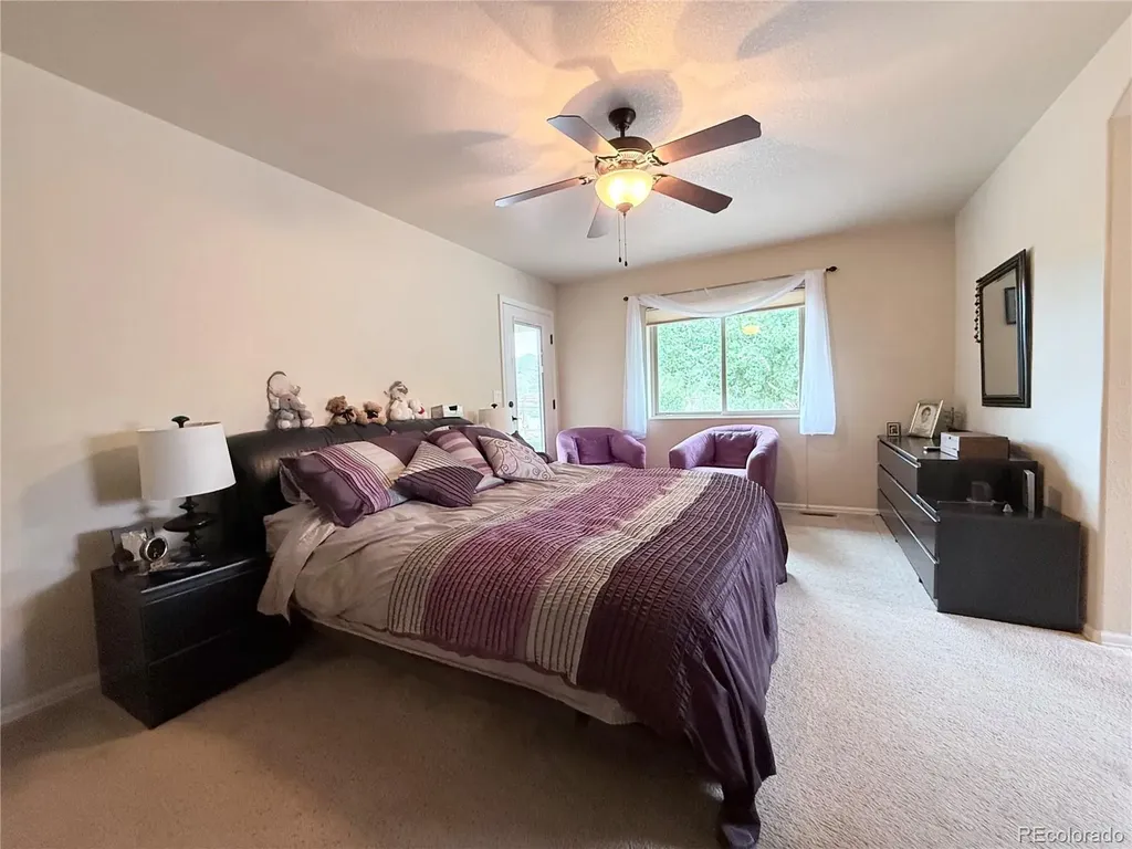 1102 E Sabeta Avenue Poncha Springs CO 81242