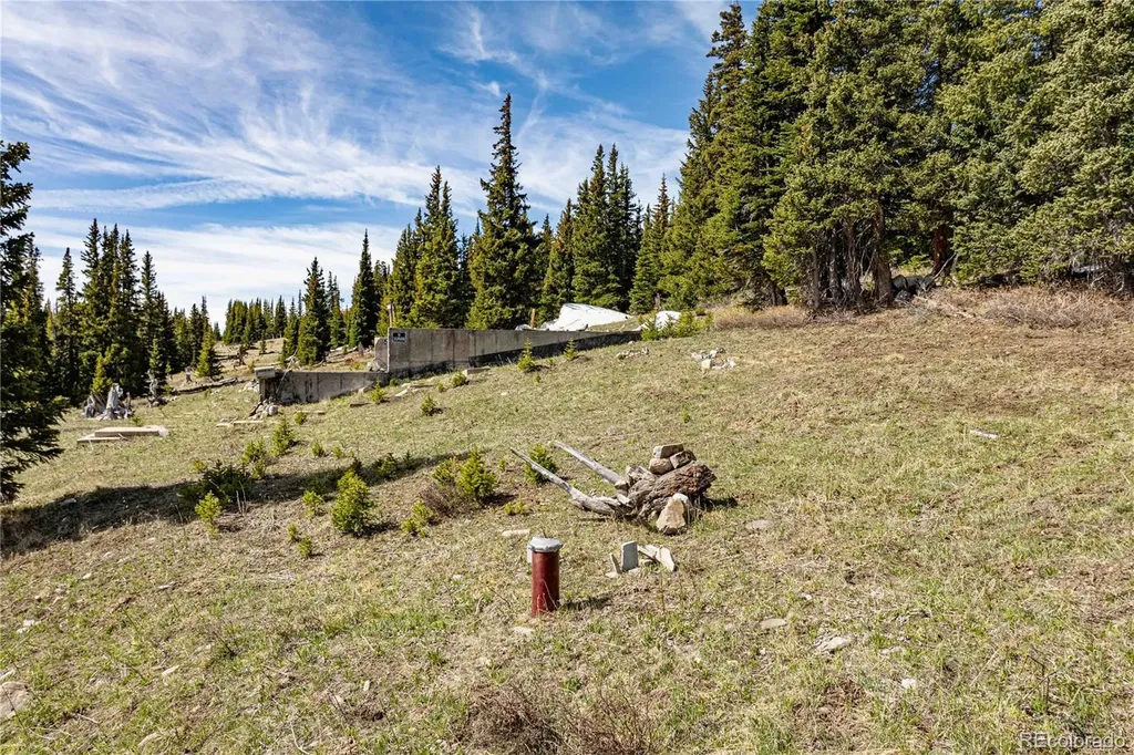 392 Pyrite Place Fairplay CO 80440