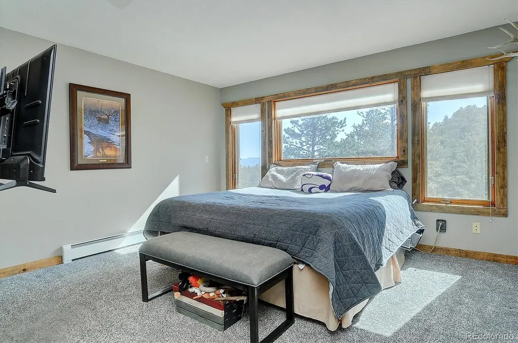 16050 Oppliger Drive Nathrop CO 81236