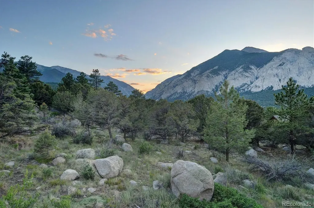 16050 Oppliger Drive Nathrop CO 81236