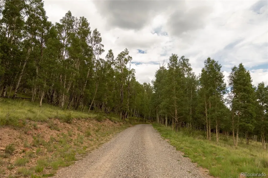 1001 County Road 17 Lake City CO 81235