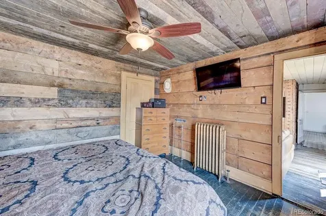 520 Chestnut Street Leadville CO 80461