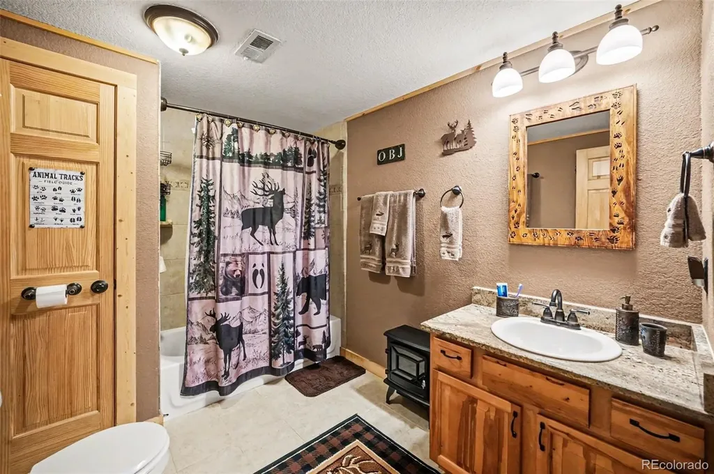28 Juniper Way Bailey CO 80421