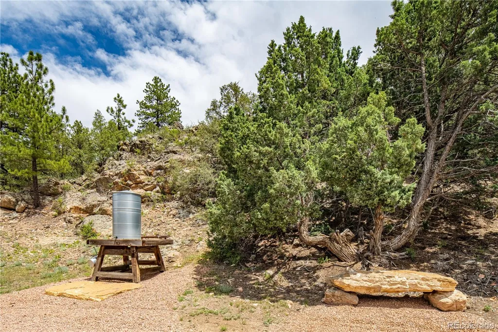8260 County Road 28 Cotopaxi CO 81223
