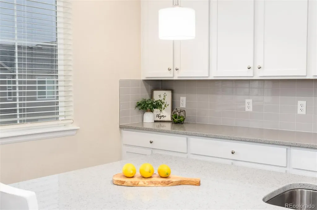 7376 S White Crow Way Aurora CO 80016