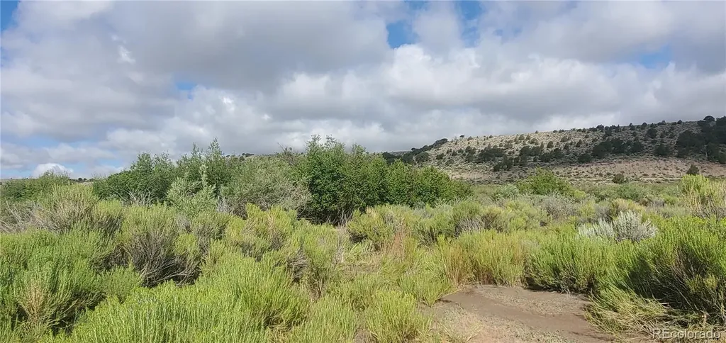 Lot 4053 Hilton Road Fort Garland CO 81133