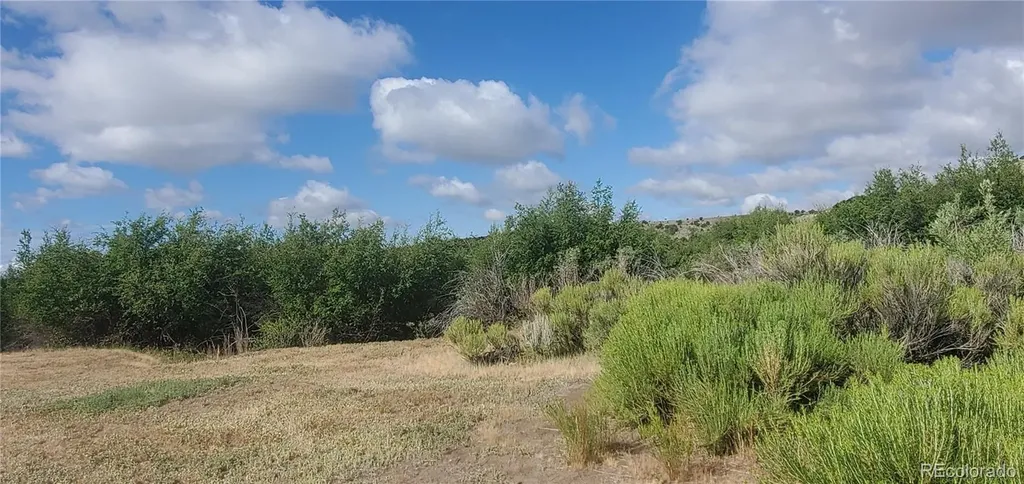 Lot 4053 Hilton Road Fort Garland CO 81133