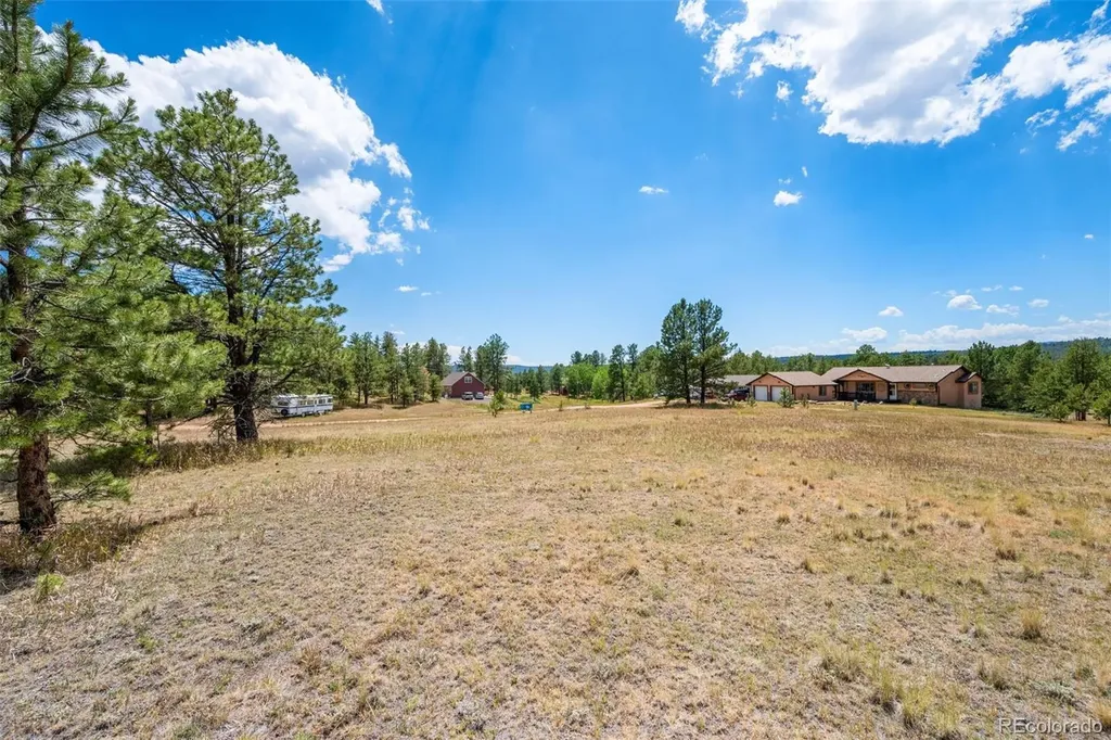 91 Adair Circle Florissant CO 80816