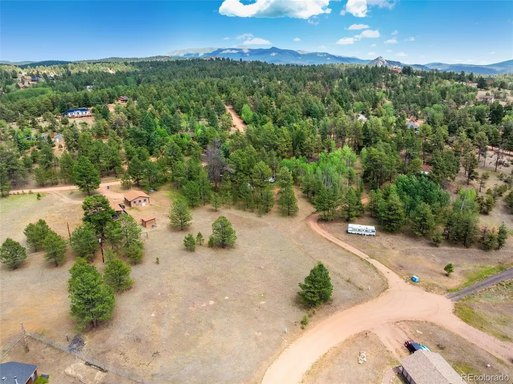 91 Adair Circle Florissant CO 80816