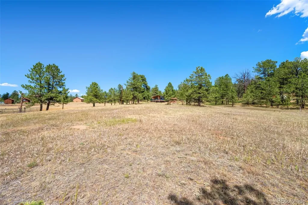 91 Adair Circle Florissant CO 80816