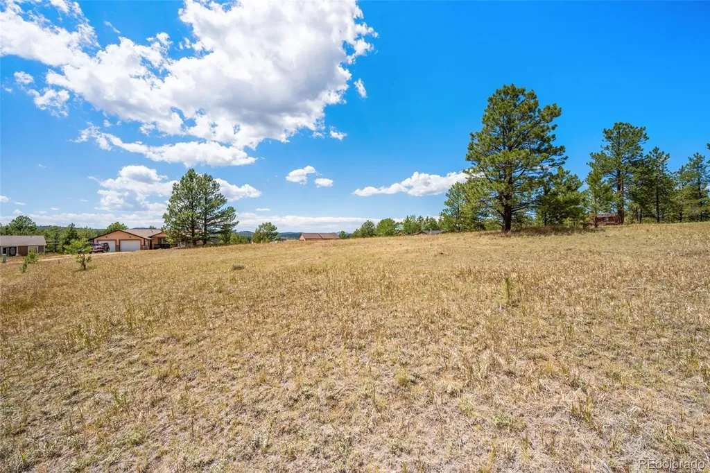 91 Adair Circle Florissant CO 80816