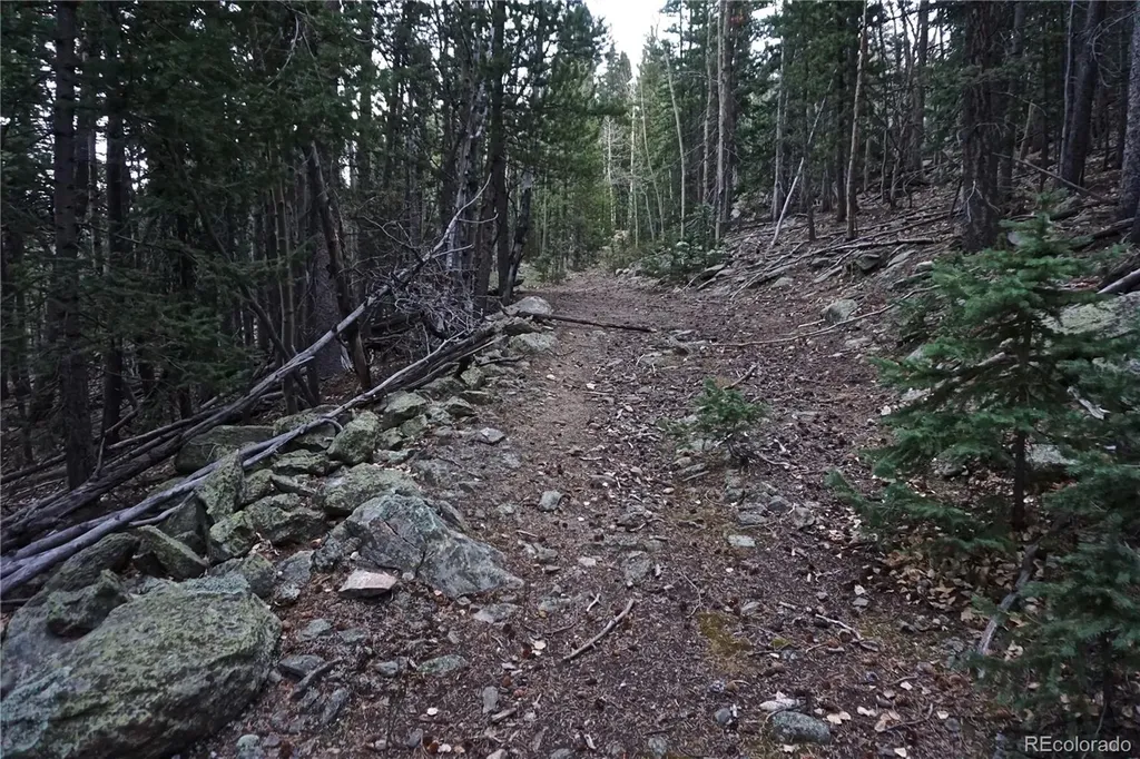 Philidelphia Silver Star Idaho Springs CO 80452