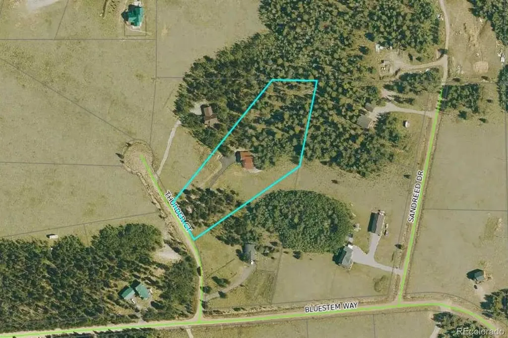 40 Thurber Court Fairplay CO 80440