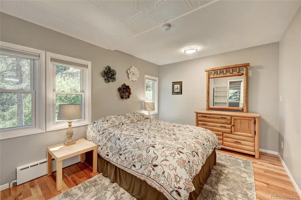 4642 Plettner Lane Evergreen CO 80439