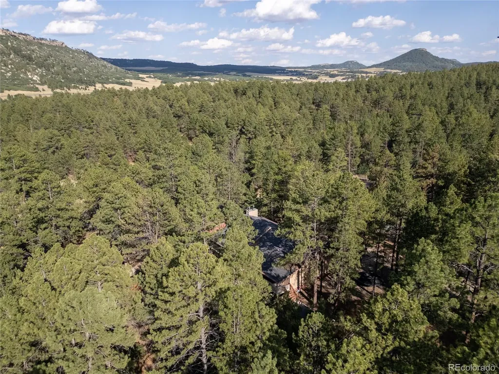 545 Tenderfoot Drive Larkspur CO 80118