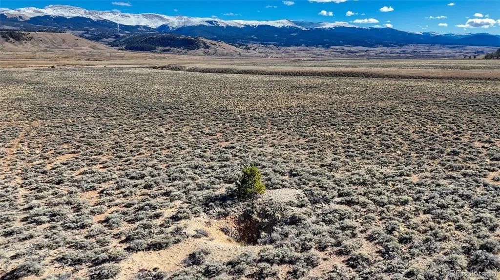 15 County Road 10 Leadville CO 80461