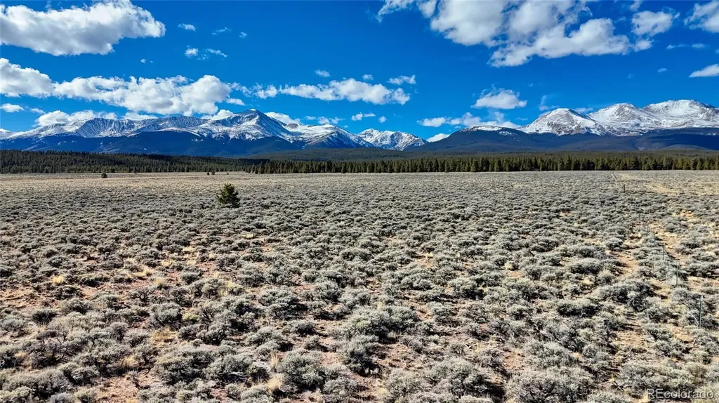 15 County Road 10 Leadville CO 80461