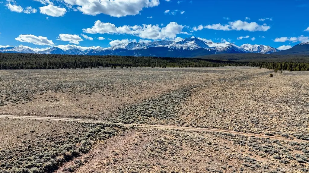 15 County Road 10 Leadville CO 80461