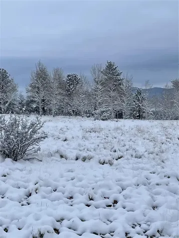 364 Muir Woods Trail Hartsel CO 80449