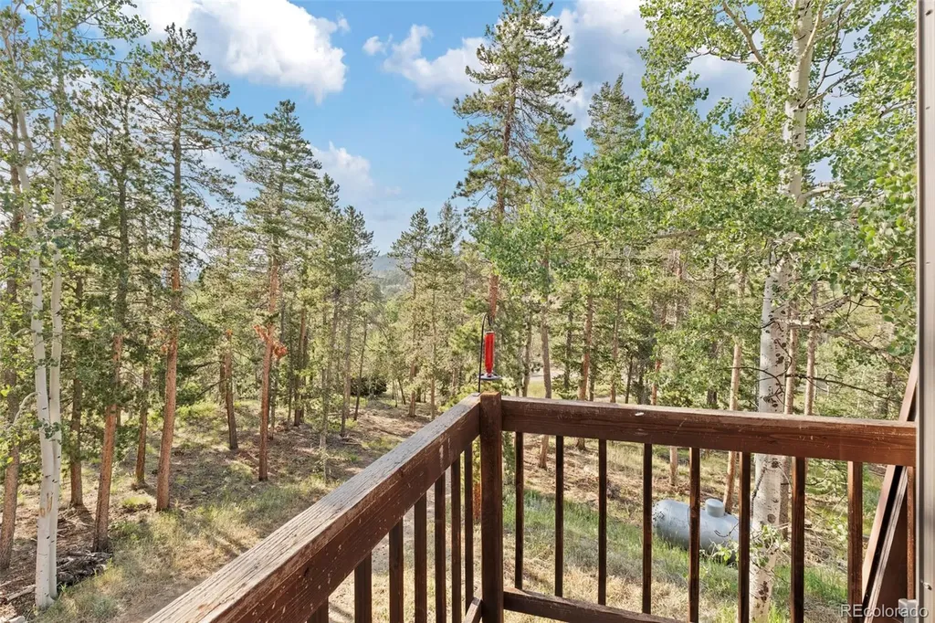 100 Raptor Point Road Golden CO 80403