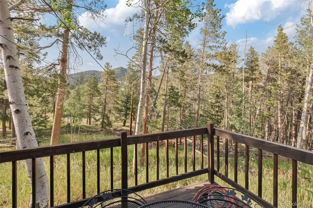 100 Raptor Point Road Golden CO 80403