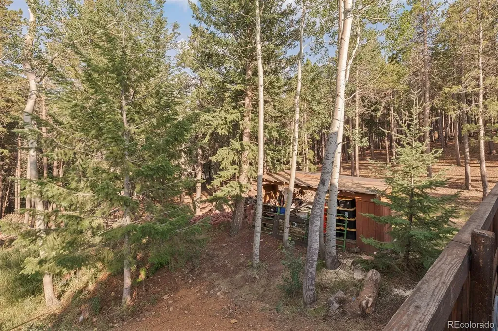 100 Raptor Point Road Golden CO 80403