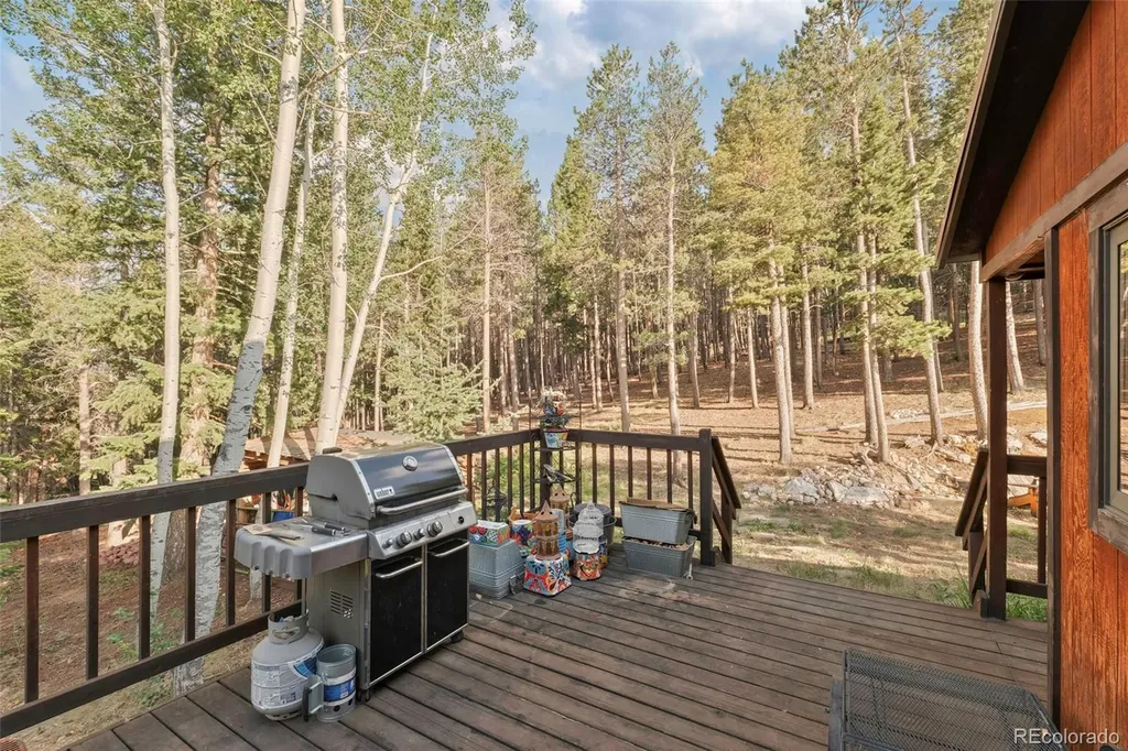 100 Raptor Point Road Golden CO 80403
