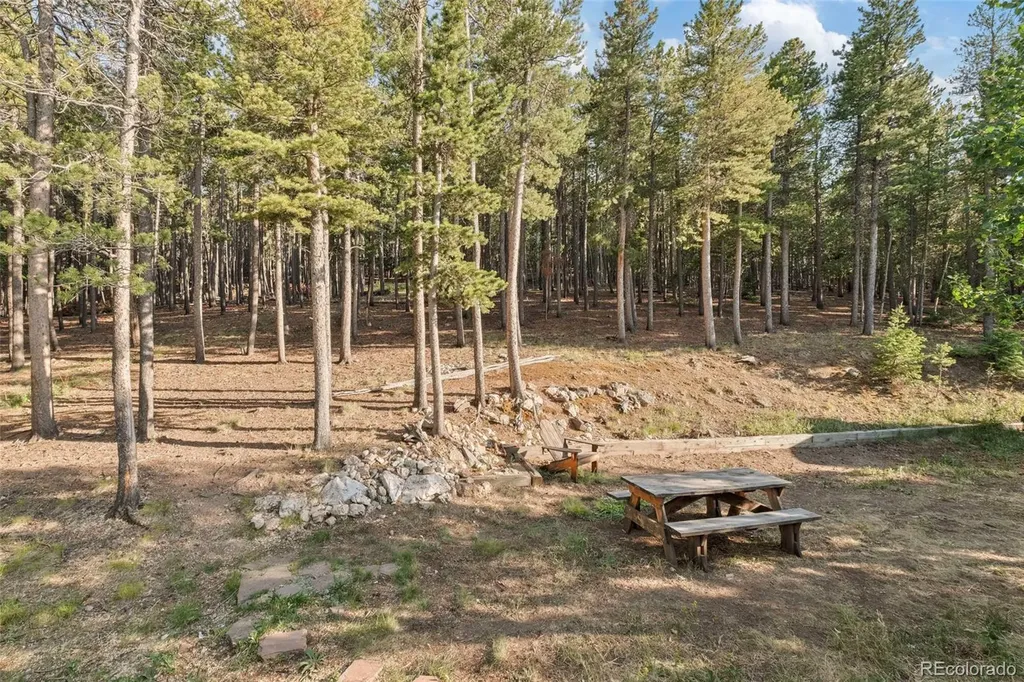 100 Raptor Point Road Golden CO 80403