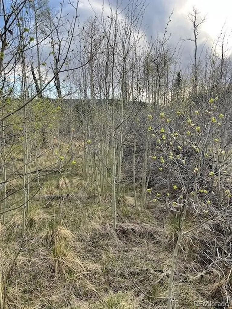 Lot 2610 Lux Lane Fort Garland CO 81133