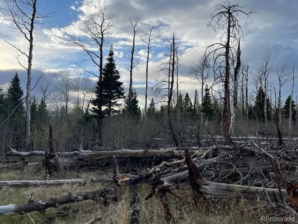 Lot 2610 Lux Lane Fort Garland CO 81133