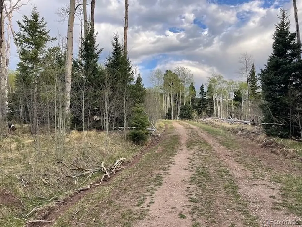 Lot 2610 Lux Lane Fort Garland CO 81133
