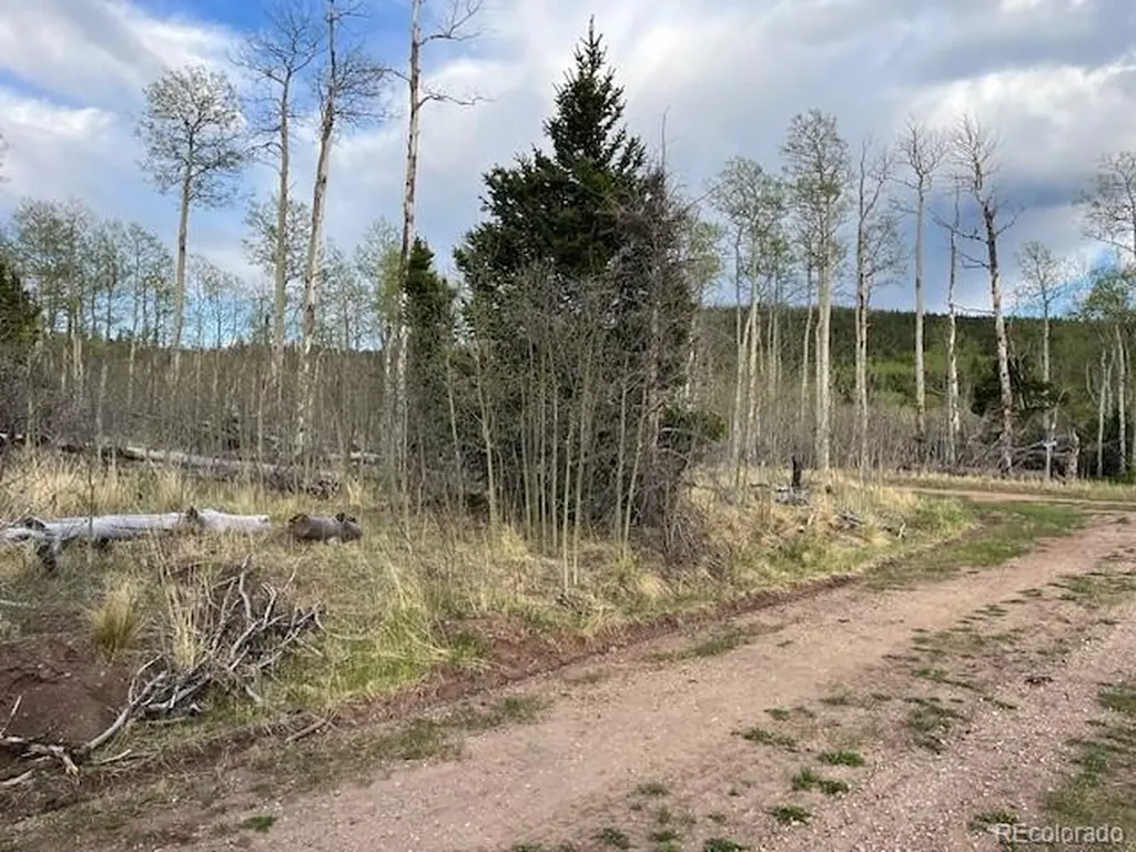 Lot 2610 Lux Lane Fort Garland CO 81133