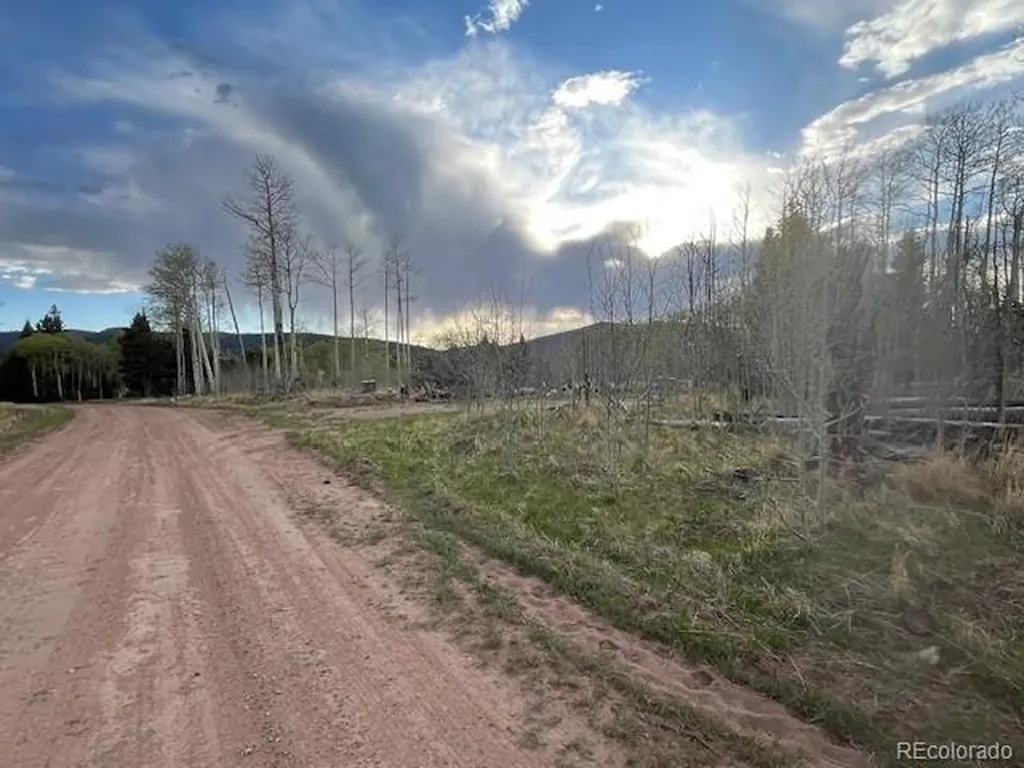 Lot 2610 Lux Lane Fort Garland CO 81133