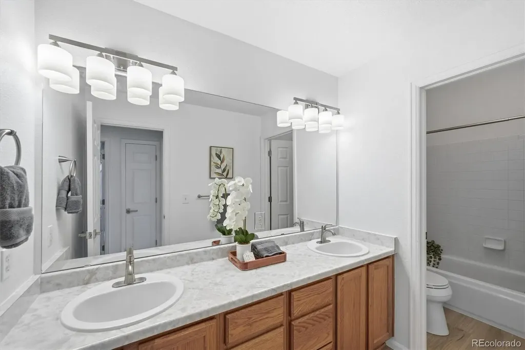 3218 Astorbrook Way Highlands Ranch CO 80126