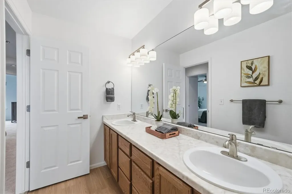 3218 Astorbrook Way Highlands Ranch CO 80126