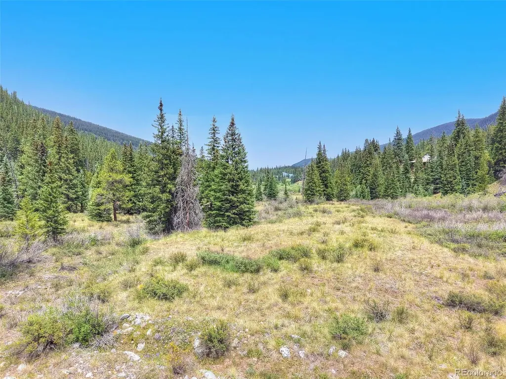 67 Quandary Road Breckenridge CO 80424