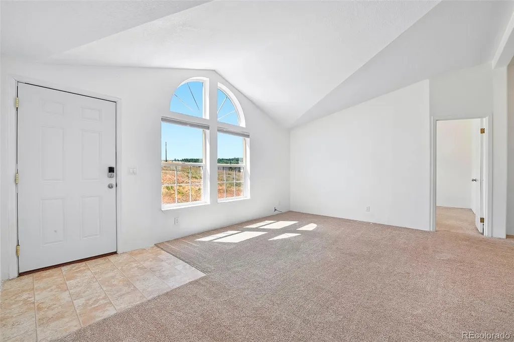 267 Longbow Drive Divide CO 80814