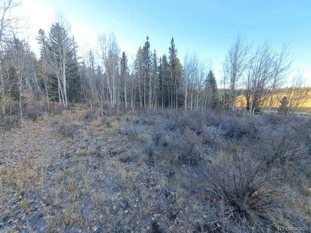 00 Haida Lane Como CO 80432